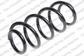 Front Coil Spring for Various Makes Models (4004290)