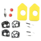 Service Kit for Lawn Mower (Air Filter, Diaphragm, Gasket)