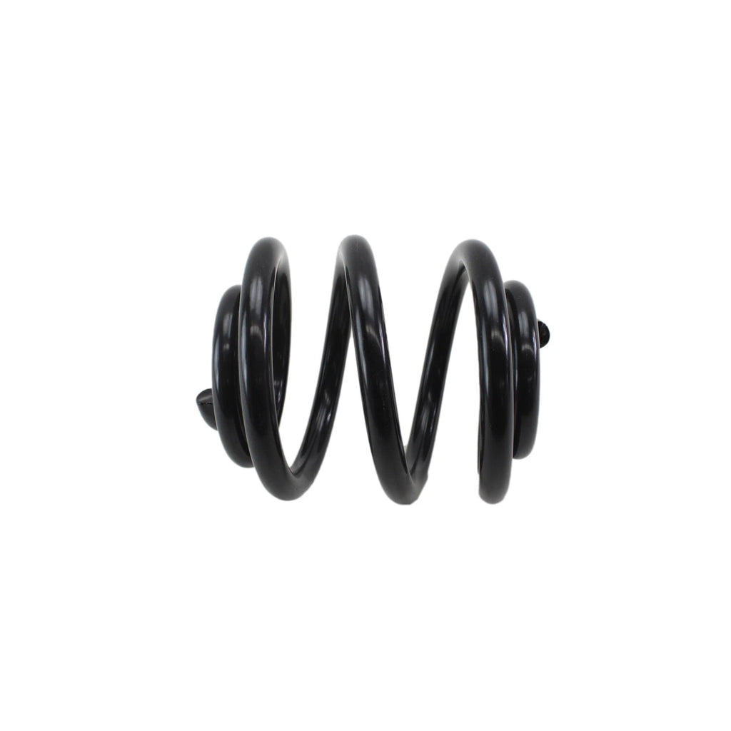Lesjofors Rear Coil Spring for Audi (4204249)