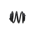 Lesjofors Rear Coil Spring for Audi (4204249)