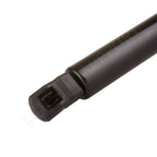 2 Liftgate Lift Supports for Chrysler Town & Country, Dodge Grand Caravan