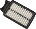 Replacement Air Filter for Victory (E14-0997)