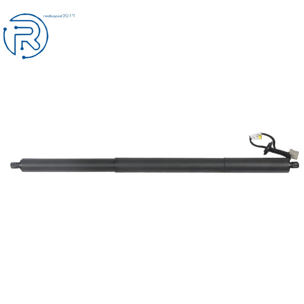 Rear Tailgate Left Power Lift Support for Ford Escape (2013-2019)