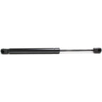 Lift Support for Mercedes Benz SL55 AMG (2003–2004)
