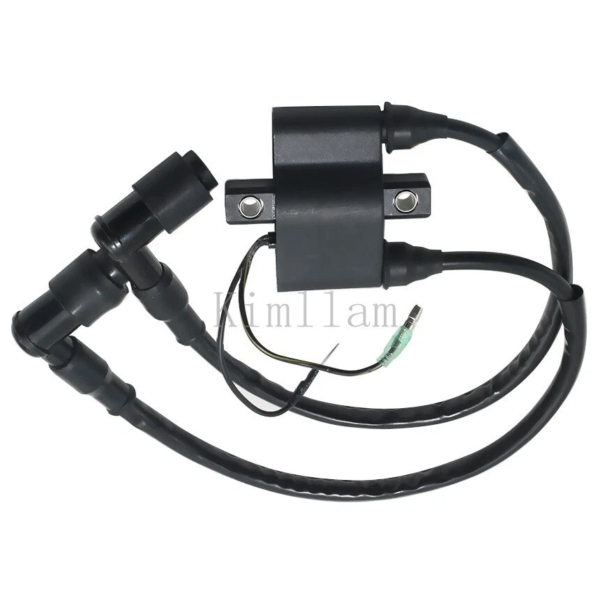 Outboard Ignition Coil for Nissan 30HP NS30A4, 25HP NS25C2 (2-Stroke) 3A0-06040-1M