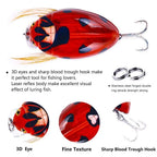 3.8cm Hard Lure with 3D Eyes for Beetle Fishing