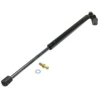 Liftgate Lift Support for Toyota Celica (2000–2004)