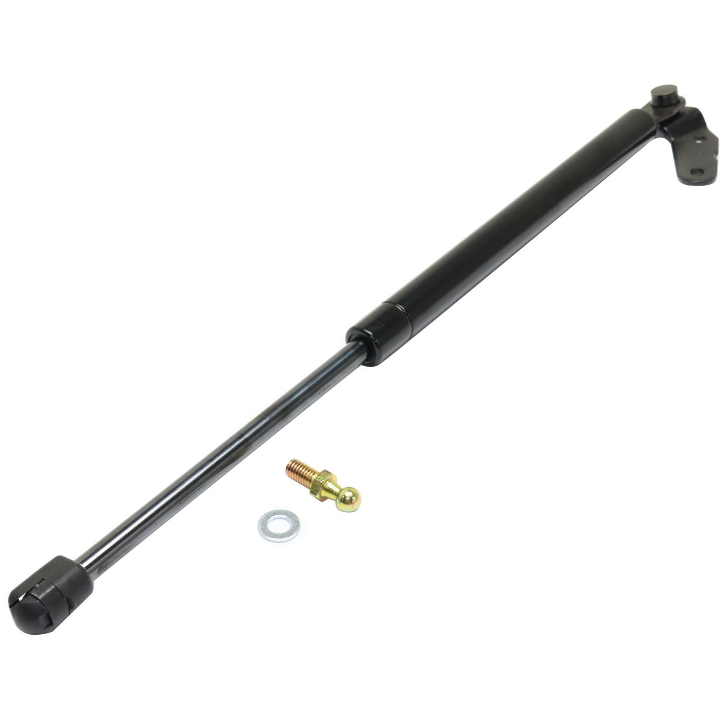 Liftgate Lift Support for Toyota Celica (2000–2004)