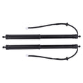 2X Rear Tailgate Lift Supports for Toyota RAV4 (2019–2022)