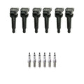 Set of 6 NGK Ignition Coils & Iridium Spark Plugs for Santa Fe, Optima (2001–2006)