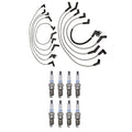 Denso 8mm Wire Set & 8 Platinum TT Spark Plugs for Ford Lincoln 5.0L V8