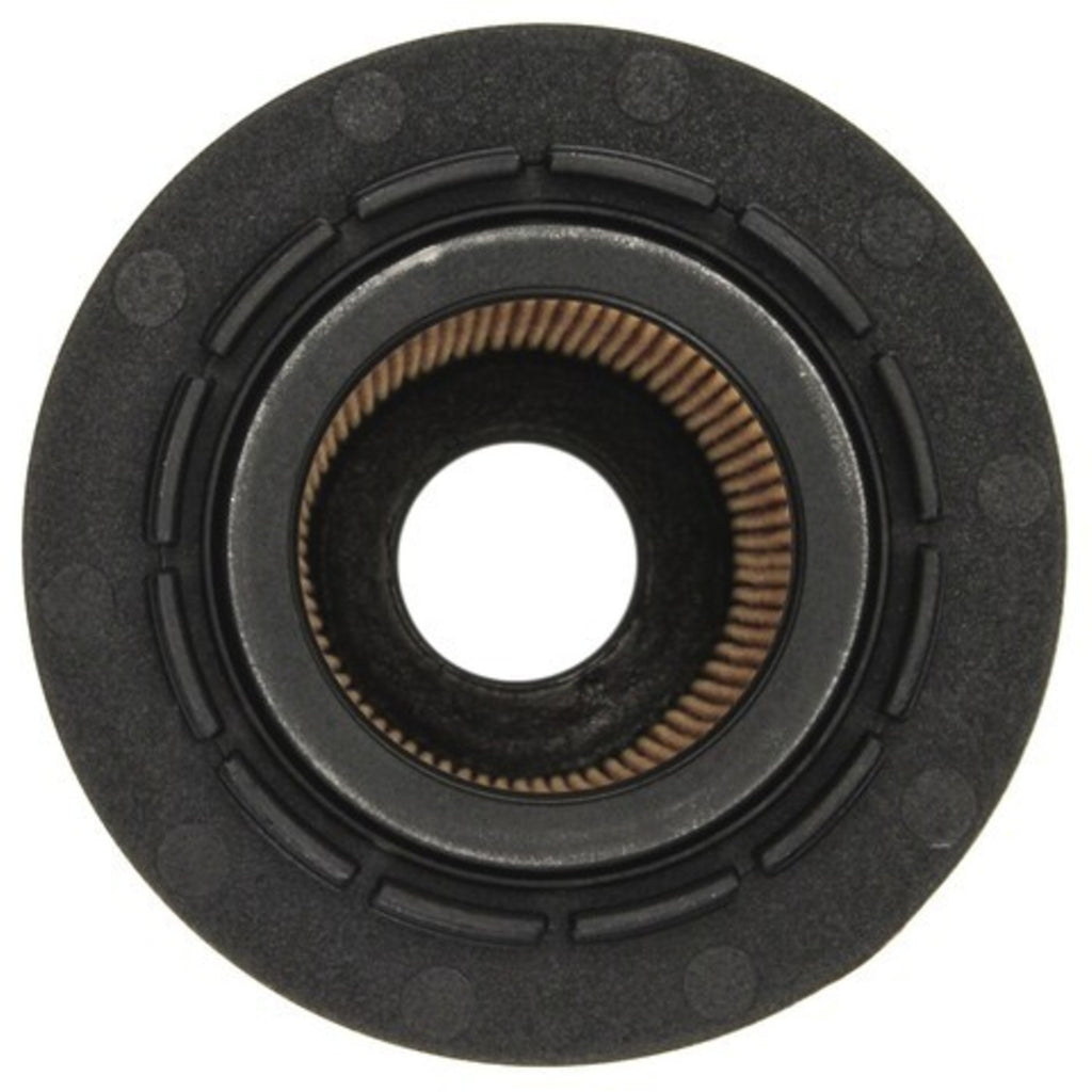 Oil Filters for VW Porsche Cayenne, Volkswagen Touareg, Audi Q7, S8