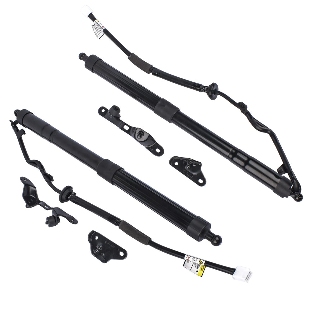 Set of 2 Rear Tailgate Lift Support Struts for Toyota RAV4 (2013–2018)