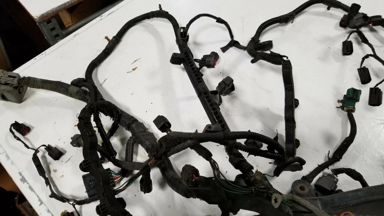 Engine Fuel Wire Harness for Lincoln LS V8 3.9 (2000–2002) 1G-204-BB