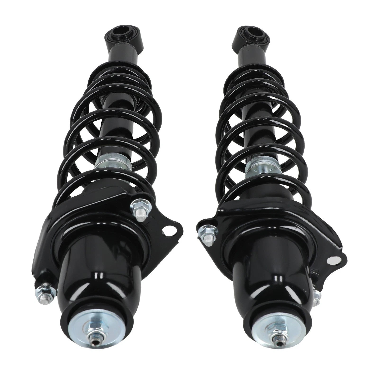Rear Complete Struts Coil Springs for Toyota Prius (2004–2009)