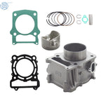 Cylinder Repair Kit for Hisun Massimo Bennche Coleman 500cc 