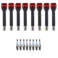 Set of 8 Ignition Coils & Spark Plugs for Audi A6 Quattro Q7 R8 V8 (2005–2021)