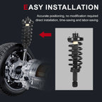 Pair Rear Struts Spring Assembly for Ford Expedition Lincoln Navigator (2003-2006)