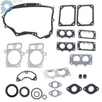 Engine Gasket Set for Tractor (446777-446977)