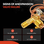 A/C Expansion Valve for Buick Skylark (1994-1998)