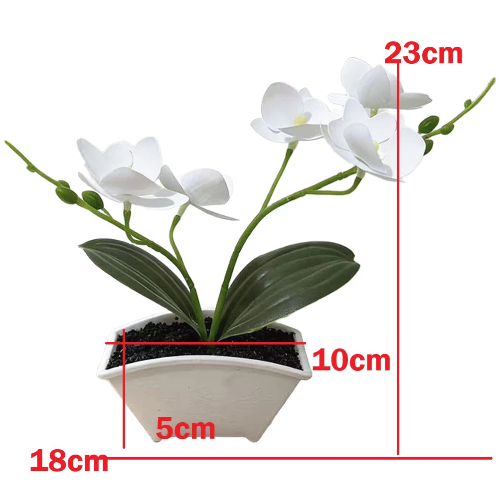 Plastic Phalaenopsis Orchid for Wedding Home Tabletop