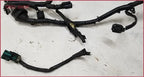 Engine Management Wiring Harness for Jaguar S-Type V6 3.0 (2000–2002)