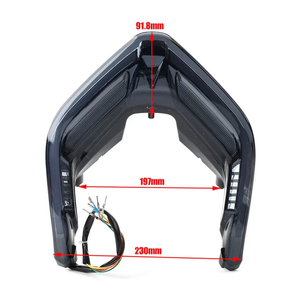 LED Tail Light Turn Signal for Ducati Streetfighter Panigale V4 V4S V2 (2018-2022)