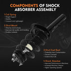Set of 4 Loaded Complete Struts & Shocks for Ford Focus (2008-2011)