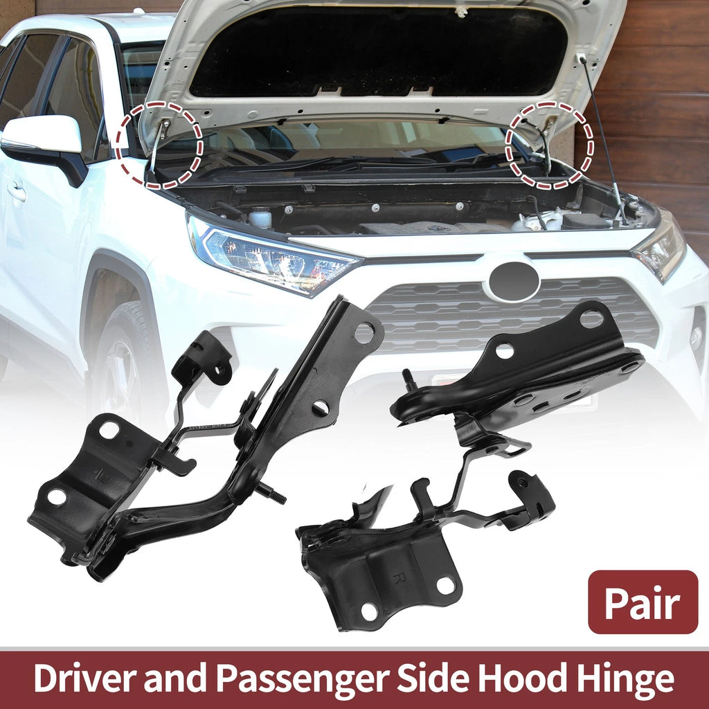 Hood Hinges for Lexus ES300h (2019–2022) 1 Pair No. 5342033380