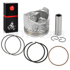Piston & Ring Kit for Yamaha Golf Cart G2 G5 G8 G9 (1985–1995)