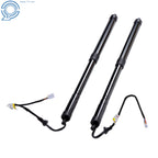 Electric Tailgate Support Bar for Lexus RX350 RX450h (2016–2019)