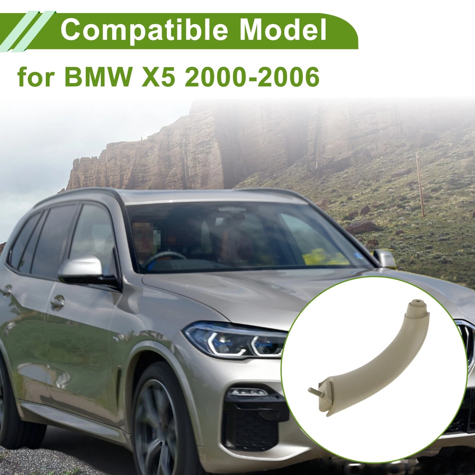Door Panel Handle Pull Trim Cover for BMW X5 (2000–2006) No. 51418265079