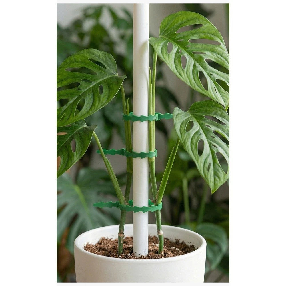 100pcs Adjustable Green PP Garden Straps for Plants Vines Flowers