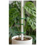 100pcs Adjustable Green PP Garden Straps for Plants Vines Flowers