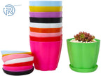Set of 4 Colorful Flower Plant Container Pots for Indoor Seed Starting
