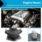 Rear Engine Mount for Honda Accord Vti Euro CL9 CM5 (2003–2008)