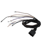 Snow Plow Light Wiring Harness for Western Fisher Blizzard (26347, 26377)