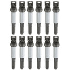Set of 12 Ignition Coils for BMW 320 325 330 525 530 545 550 645 650 745 750 760