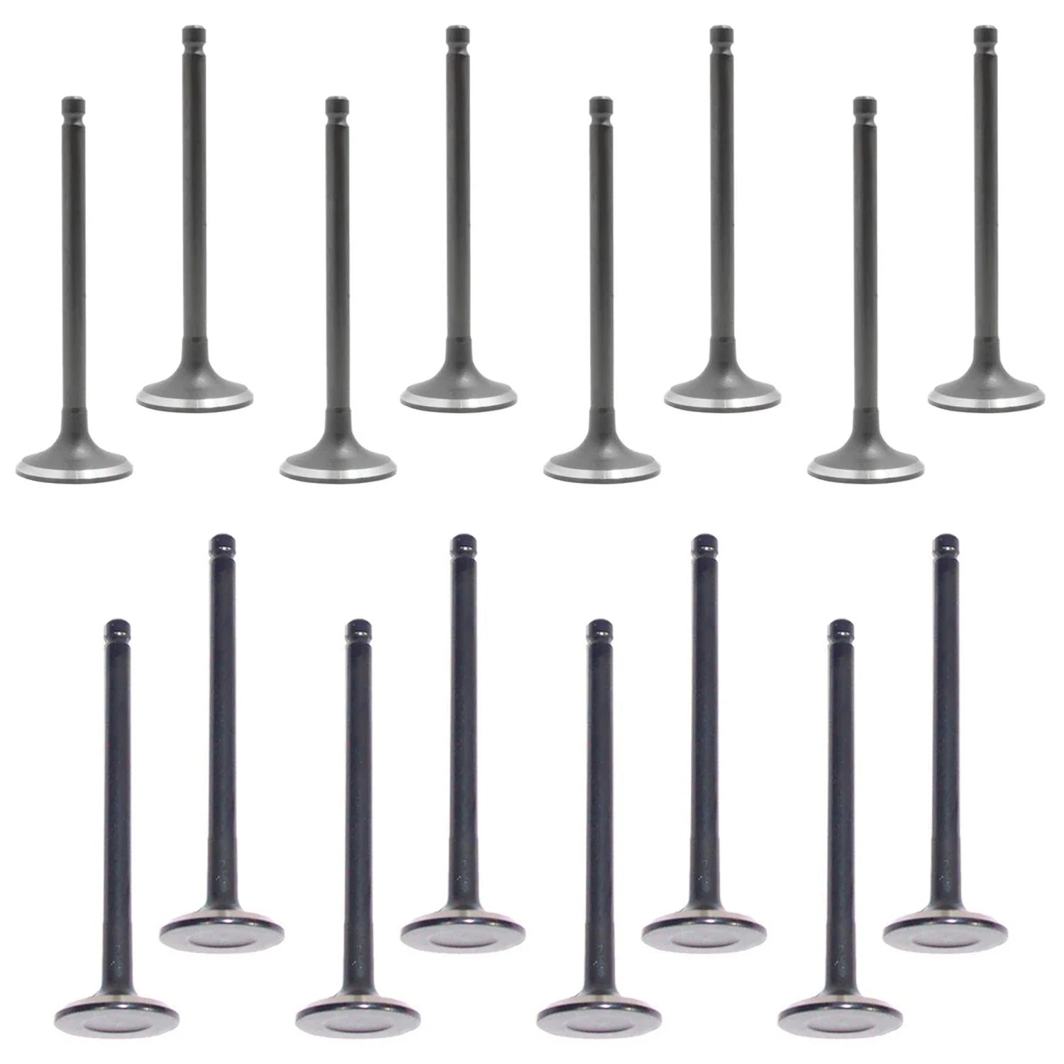 Set of 16 Intake & Exhaust Valves for Hyundai Accent, Kia Rio (2006–2011)