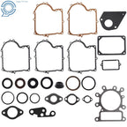 Gasket Set for Lawn Mower (495993)