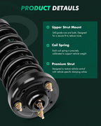 Complete Strut and Shock Assembly for Ford F-150 (2009–2013)
