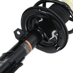 2X Front Strut Coil Spring Assembly for Scion tC (2005–2010)