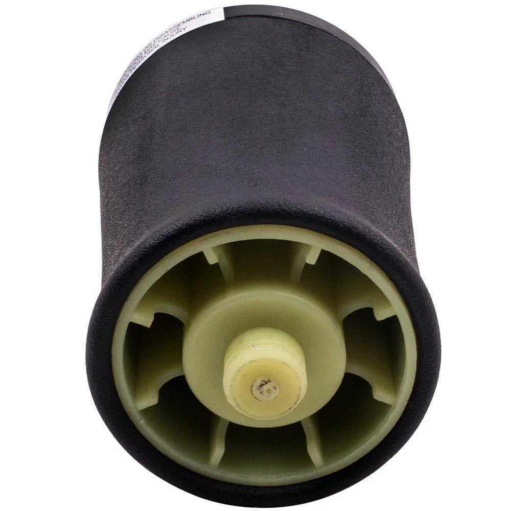Rear Left Air Suspension Strut Bag for BMW X5 (2000-2006)