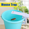 Catch Trap for Mice Rats (Reusable ABS Plastic)