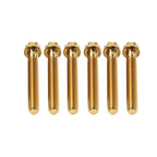 6pcs M6x45mm Titanium Torx Head Flange Screws for Motorcycle Bike