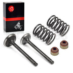 Intake Exhaust Valve Seal Spring for Club Car DS Predent (1992–2024)