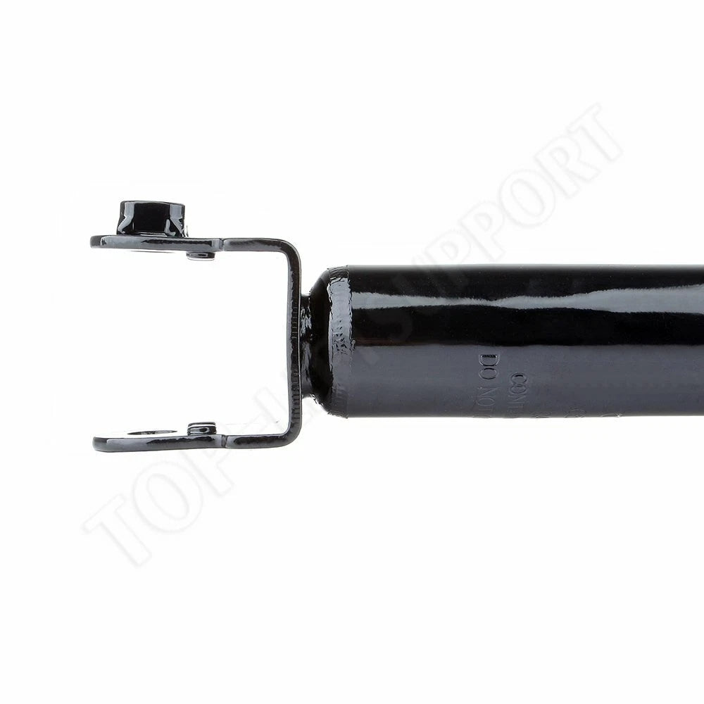 Rear Shocks & Struts for Nissan Maxima (2004–2008)