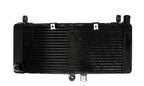 Radiator Grille Guard for Honda CB900 CB919F Hornet900 (2002–2007) Black