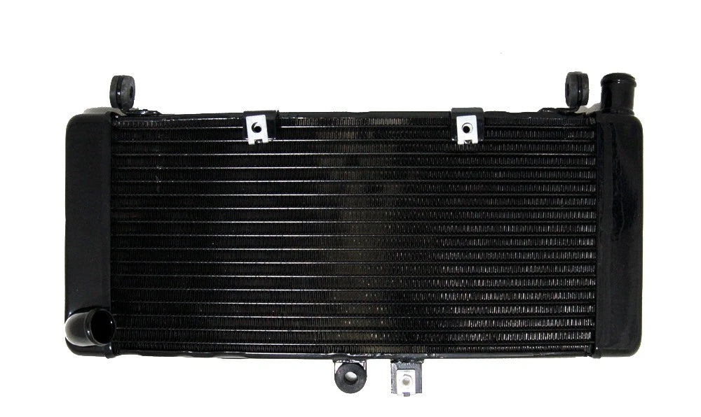 Radiator Grille Guard for Honda CB900 CB919F Hornet900 (2002–2007) Black
