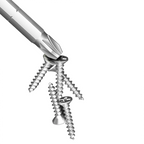 50mm 12 Point Screwdriver Bit M12 for Air Drills